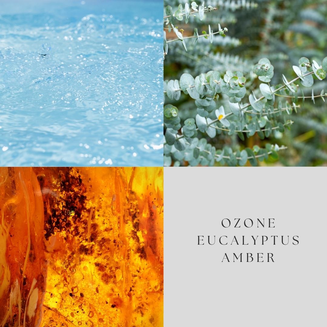 Eucalyptus & Amber Room Spray