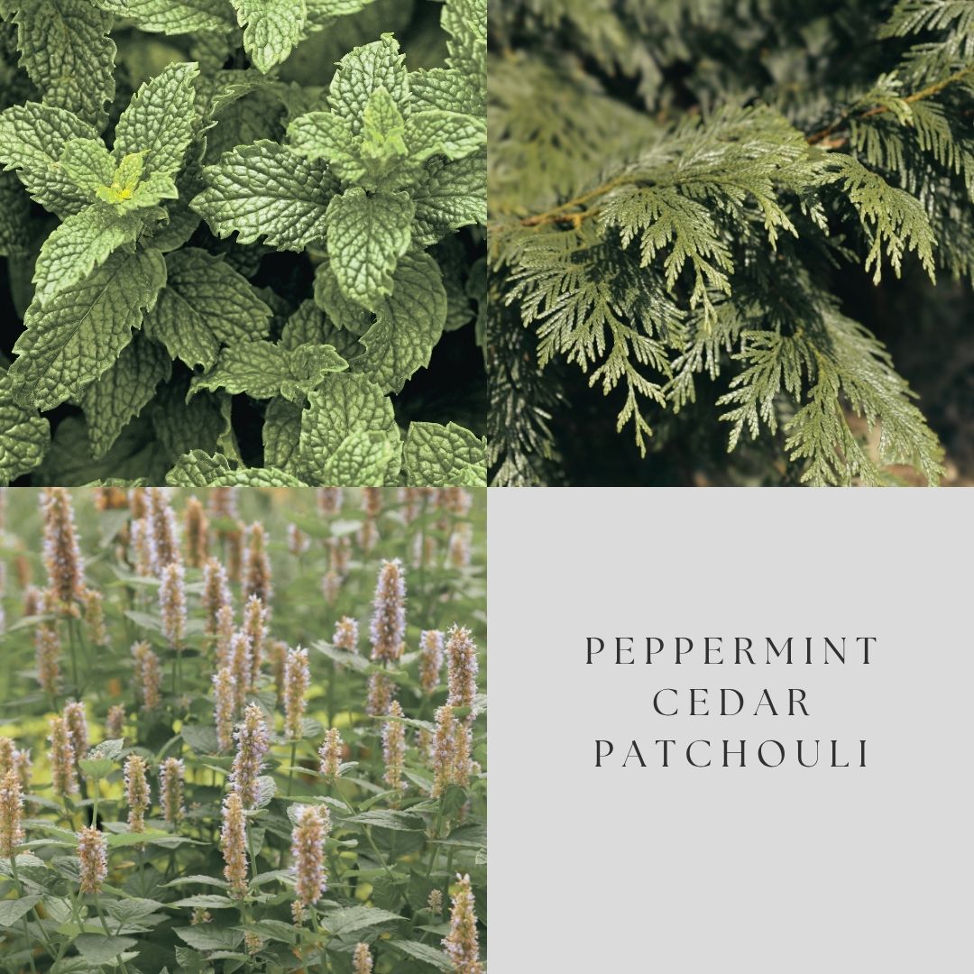 Peppermint & Patchouli Car Diffuser
