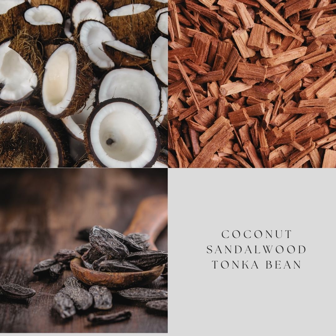 Sandalwood & Coconut Car Diffuser
